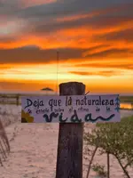 --- 1 Día --- Pasadía en Mayapo