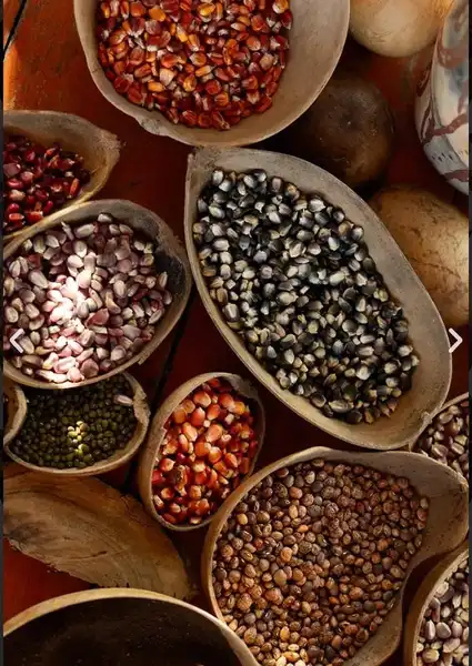 Vive una tarde  conectándote con la cultura Wayuu.