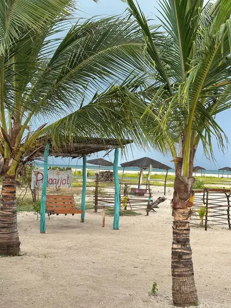 --- 1 Día --- Pasadía en Mayapo