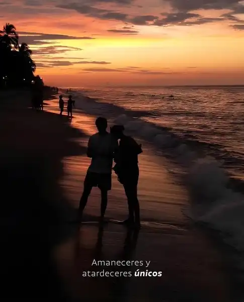 --- 1 Día --- Pasadía en Palomino