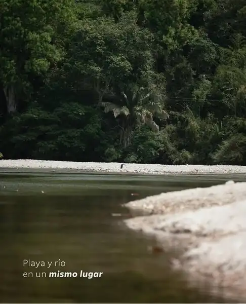 --- 1 Día --- Pasadía en Palomino
