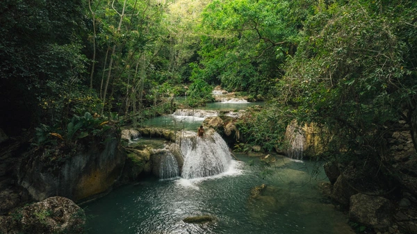 --- 1 Día --- Pasadía Montes de Oca