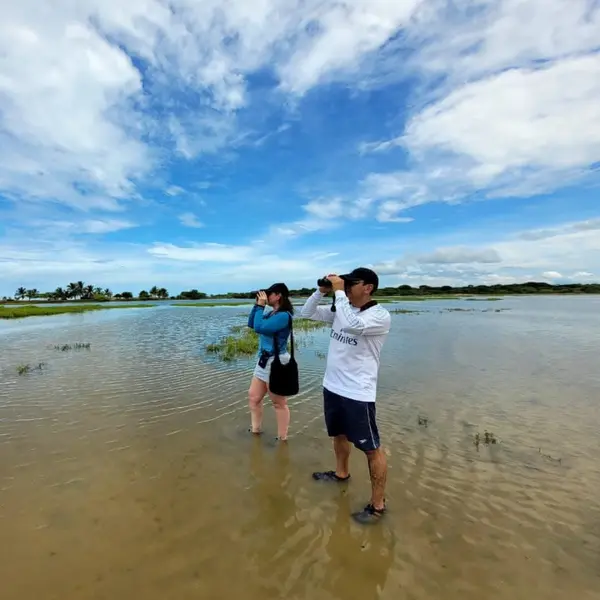 --- 1 Día --- Pasadía en Camarones Flamencos Rosados